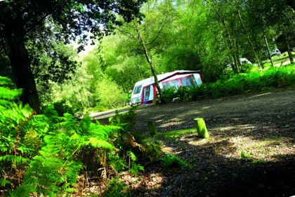 Setthornes Campsite